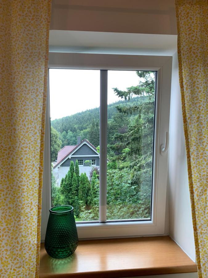 Penzion Zelené Údolí Janske Lazne Exterior foto