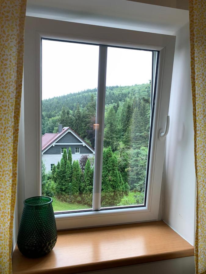 Penzion Zelené Údolí Janske Lazne Exterior foto